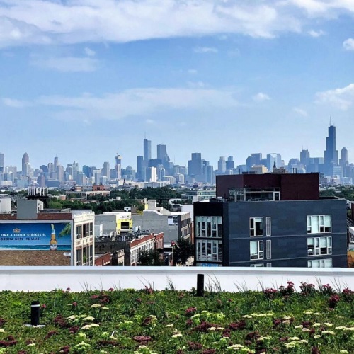 a city skyline with a rooftop garden