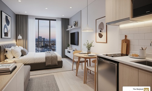 studio apartments hyde park chicago